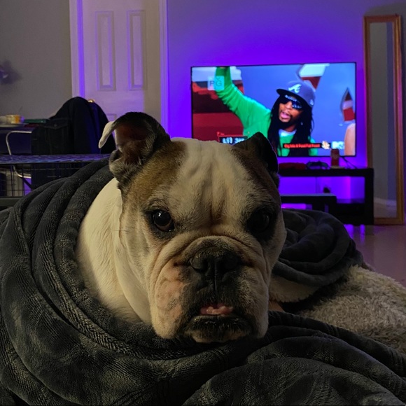 Meet your Posher, Colt - Picture 1 of 1